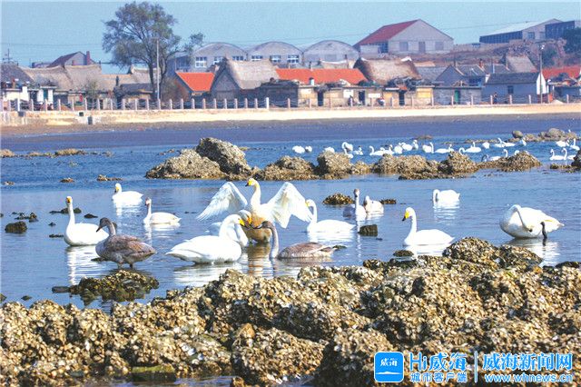 文登有多少人口_北流隆盛镇有多少人口(3)