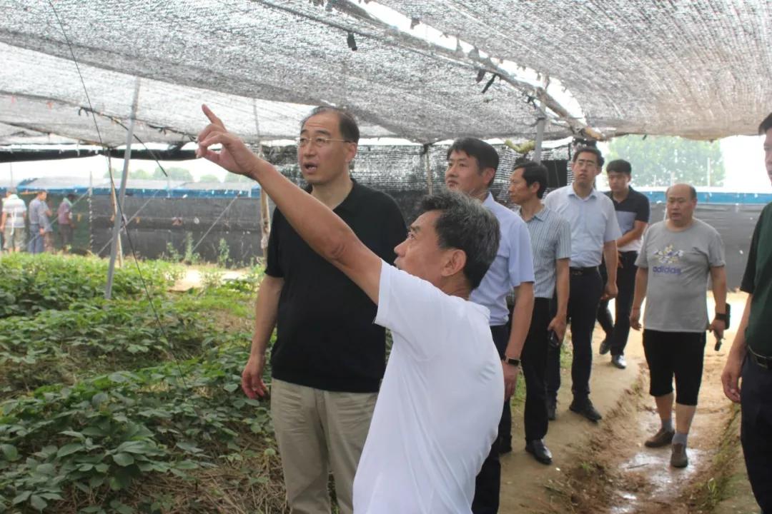 文登区委书记张宏璞到葛家镇调研片区建设情况