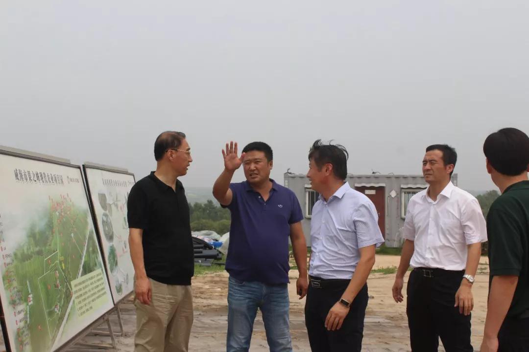 威海市文登区人民政府 工作动态 文登区委书记张宏璞