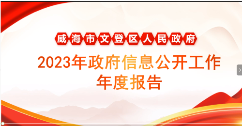 动漫动画|威海市文登区人民政府2023年政府信息公开工作年度报告